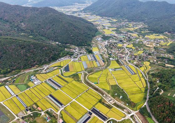 [오늘의 날씨] 부산·경남(6일, 화)…대체로 맑고 큰 일교차