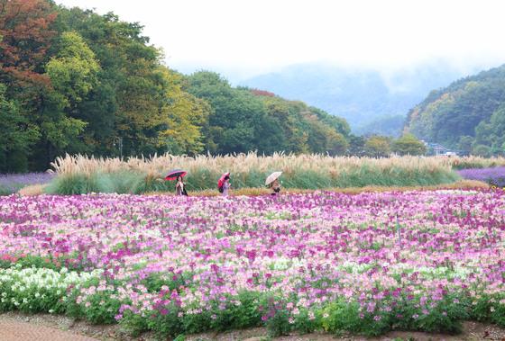 [오늘의 날씨]부산·경남(22일,목)…거창 2도·합천 3도, 낮 17~18도
