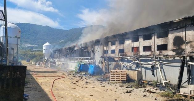 경남 합천 돼지농장서 불…장비 등 4억 원대 재산피해 발생