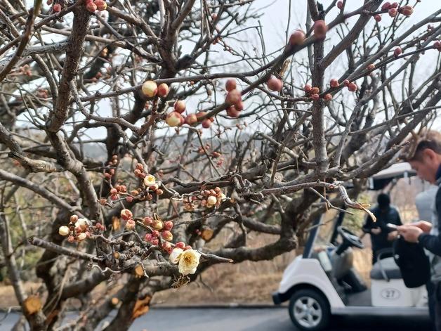 [오늘의 날씨]부산·경남(18일,수)…맑음·강한 바람