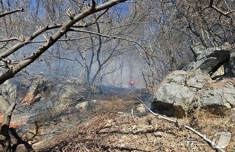 설 연휴 전국 곳곳서 산불 잇따라…"불씨 관리 철저히"