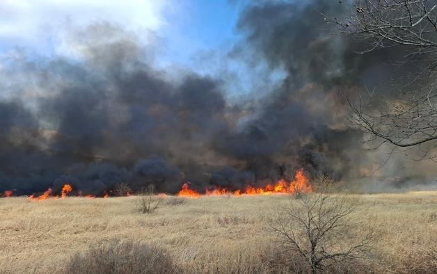 창원 갈대밭 방화 50대 체포…주민 등 635명 대피하기도