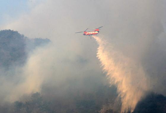 '봉대산 불다람쥐' 함양 산불 방화도…총 90여 차례 산불 결국 구속