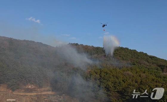 창원서 폭죽 놀이하다 산불 낸 '촉법' 중학생 2명