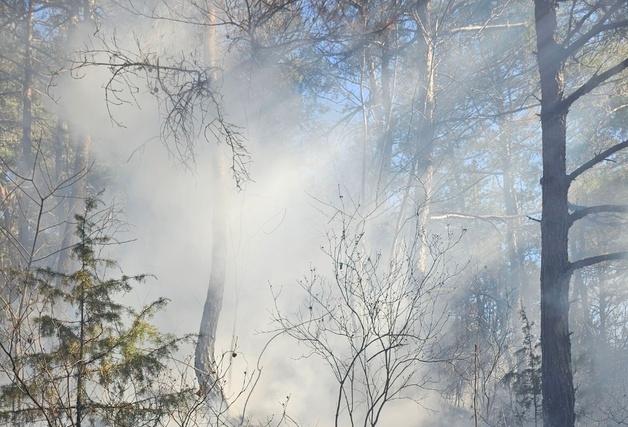 거창 주상면서 산불…24분 만에 주불 진화