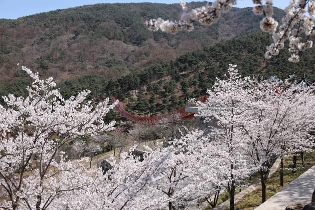 사계절 축제 열리는 산청군, 웰니스 관광도시 도약 추진