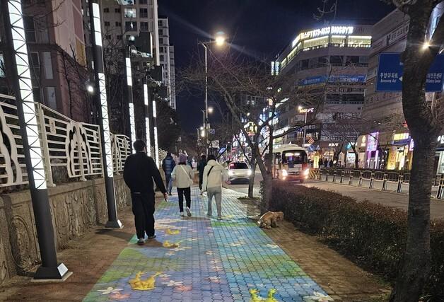 어둡던 신호동 중심상가 밝아졌다…경관조명 12일 '첫 불'