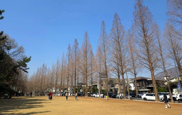 "반소매 입어도 안 추워"…창원 용호동 가로수길 '북적'