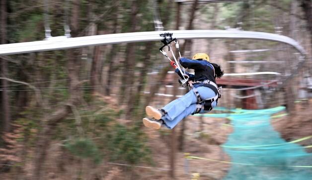 거제포로수용소유적공원 롤러코스터 집라인 재개장