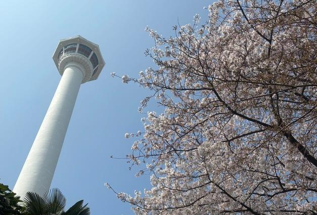온화한 날씨에 부산시민·관광객들 용두산공원 나들이