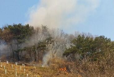 진주 야산서 산불…1시간여 만에 주불 진화