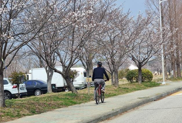 완연한 봄기운 부산 곳곳 '북적'…윤산 벚꽃 인파에 재난문자도