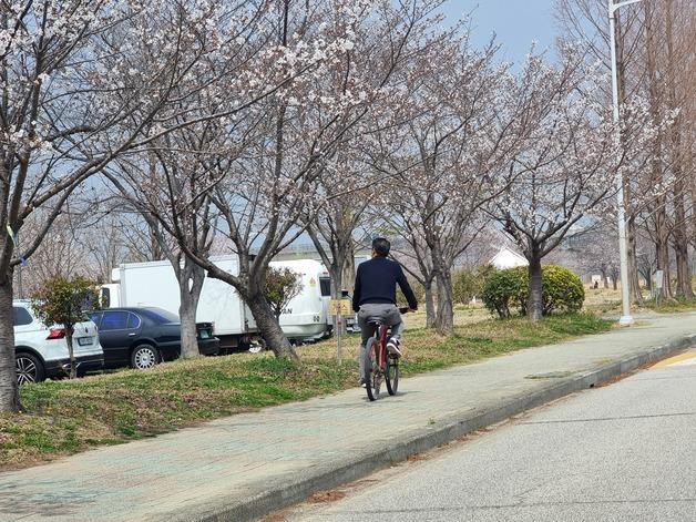완연한 봄기운 부산 곳곳 '북적'…윤산 벚꽃 인파에 재난문자도