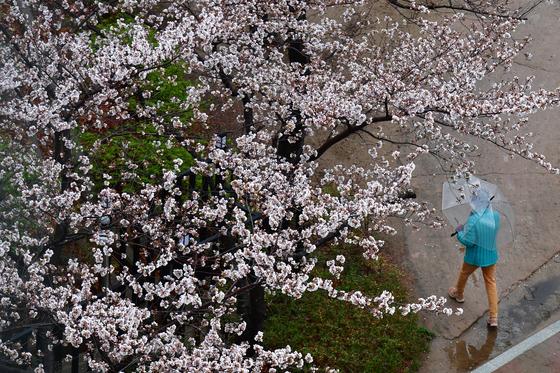 [오늘의 날씨] 부산·경남(4일, 토)…오전 강한 비와 강풍 예보