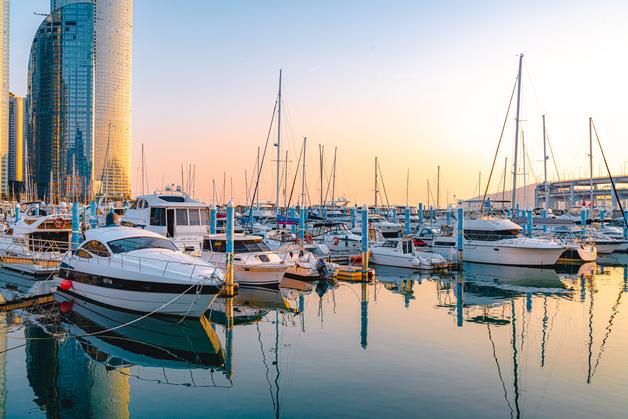 부산 수영만 요트경기장 재개발 여파…요트관광업체 62곳 영업정지