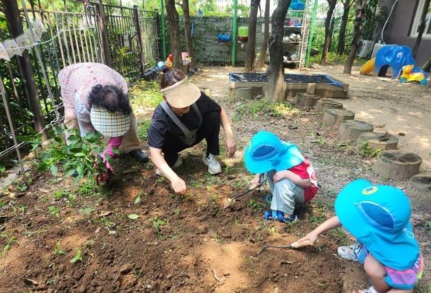 부산 해운대구, '자연이 곧 교실' 생태유아교육 확대…7개소 선정