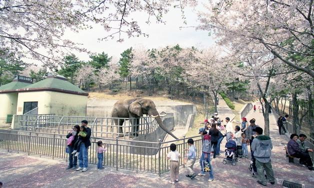 50년 된 '진주 진양호동물원' 2028년 이전 개원