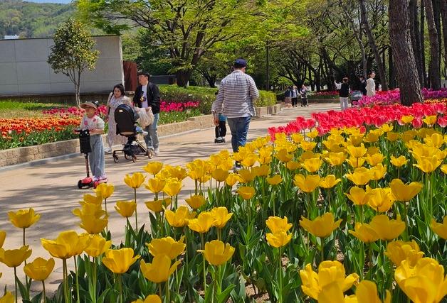 '튤립 활짝' 김해 연지공원 봄 햇살 속 나들이 발길 이어져
