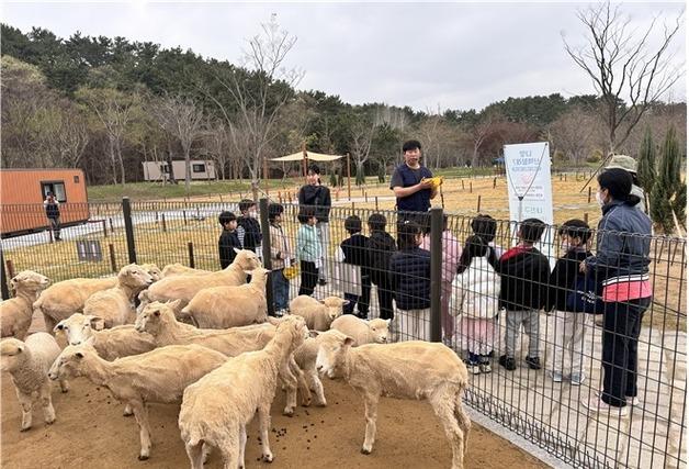 부산시, 숲에서 배우고 쉰다…50여 곳서 무료 산림교육 프로그램