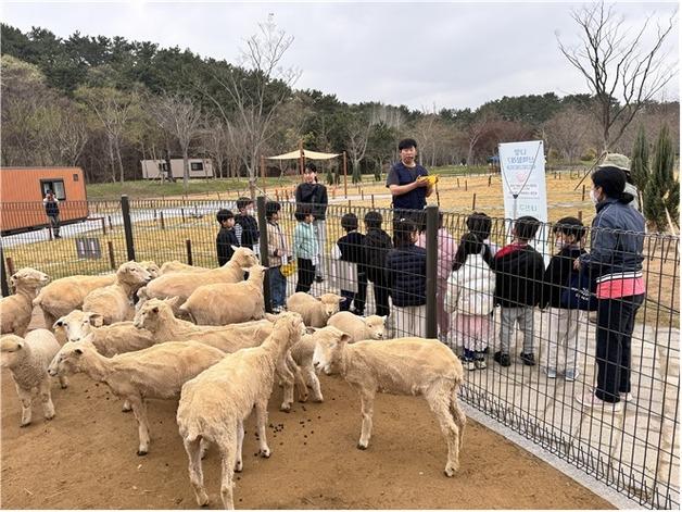 부산시, 숲에서 배우고 쉰다…50여 곳서 무료 산림교육 프로그램