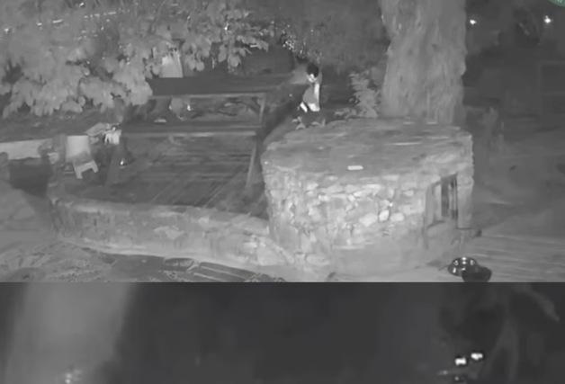 '반려견 비비탄 난사' 20대 남성 2명 불구속 기소