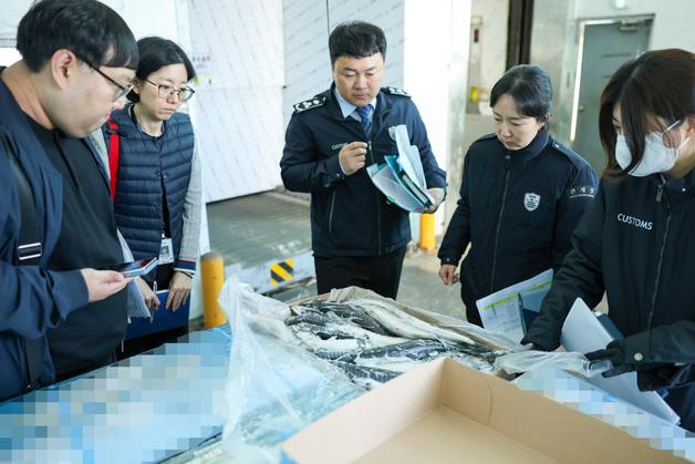 부산세관·해수부, 수입 고등어 공급 여부 집중 점검
