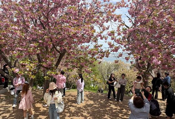 낮 30도 "이게 여름이야, 봄이야"…전국 관광지 반팔 상춘객 '물결'(종합)