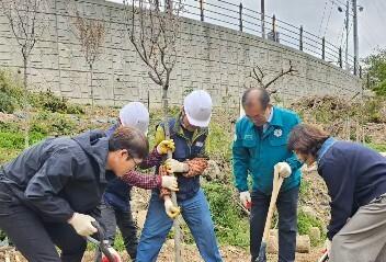 부산 사상구, 불법시설물 정비·조림사업 추진…산림 환경 개선