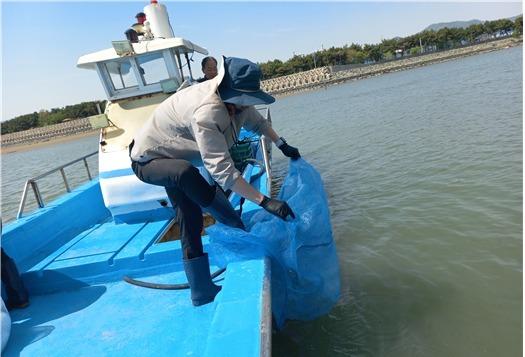 부산시, 낙동강 하구에 '톱날꽃게' 2만마리 방류…수산자원 회복