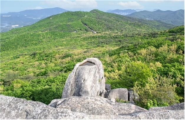 "편백·벚나무 못 심어요"…'국립공원 승격' 금정산, 식목일 풍경 바뀐다