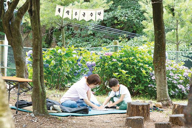 부산 북구, 20~28일 '수국과 함께하는 트래블로드 주간' 개최