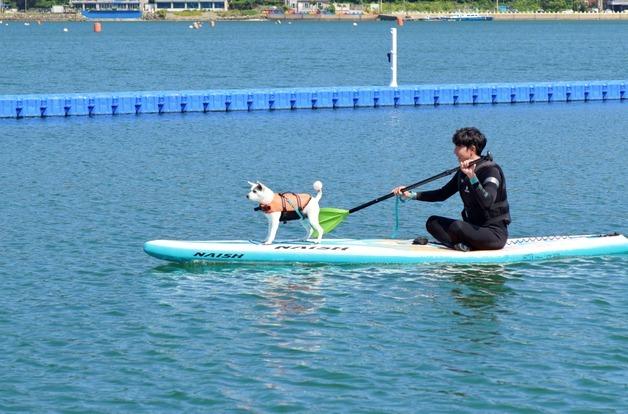거제 댕수욕장 대표 콘텐츠 '패들보트' 못 탄다…대체 프로그램 고심
