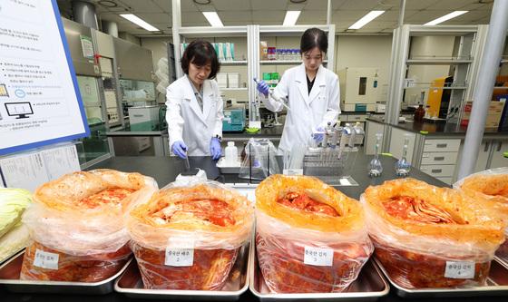 중국산 김치 안전성검사하는 연구원들