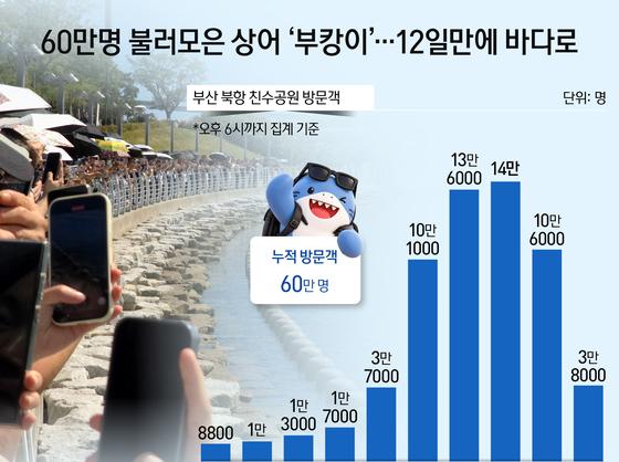60만명 불러모은 상어 '부캉이'…12일만에 바다로