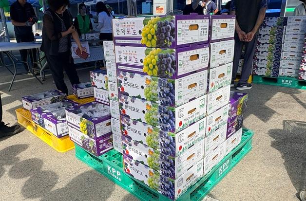 "달고 가격도 착해"…수해피해 거제 포도 할인 행사장 '북적'