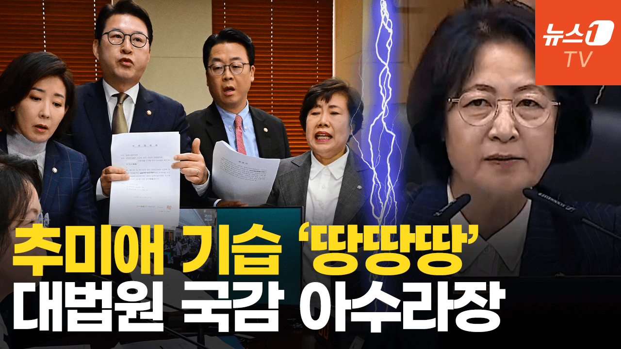 비디오 썸네일-난장판 된 법사위 현장 국감…국힘 "이재명 대통령 구하기"