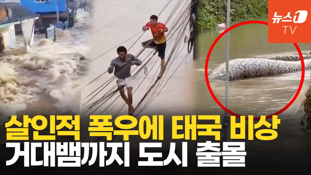 비디오 썸네일-전깃줄 매달려 탈출…'물폭탄' 맞은 태국, 생사의 갈림길
