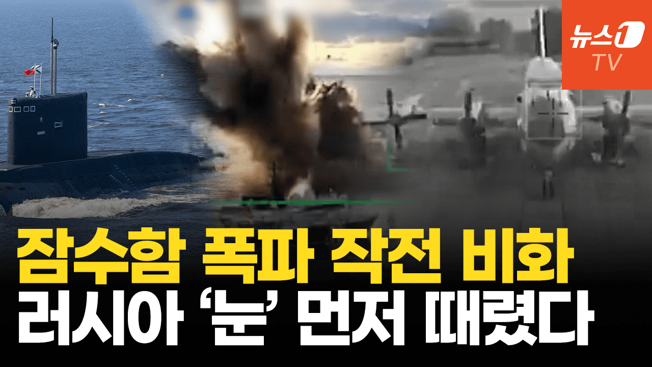 비디오 썸네일-우크라, 잠수함 파괴 작전 전모…러 대잠 초계기 깡통 만들었다