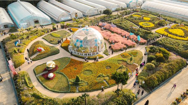 국화 축제서 사진찍고 햇굴 맛보고…경남 곳곳서 가을 축제