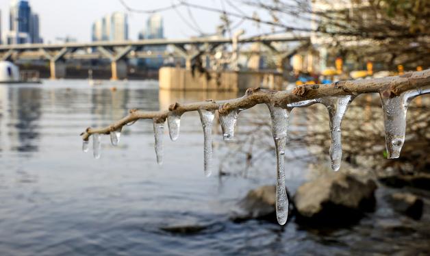 한파가 만든 고드름